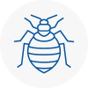Bed Bug Extermination In Harlow