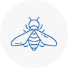 Bee Nest Removal Harlow