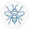 Harlow Hornet Nest Removals
