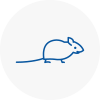 Mice Exterminators In Harlow