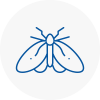Moth Control Specialists In Harlow