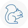 Harlow Rodent Removals
