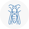 Harlow Wasp Nest Removal